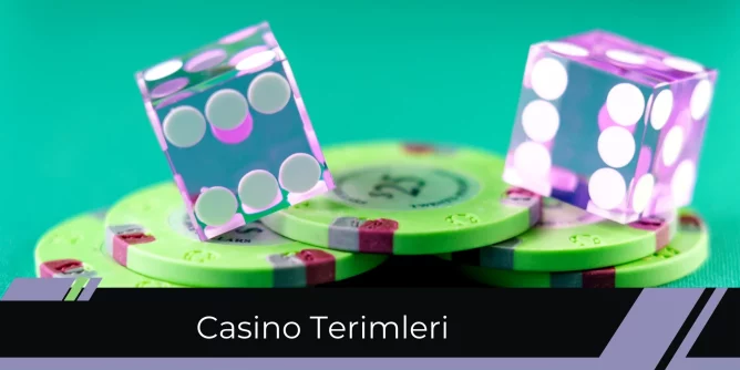 Casino Terimleri